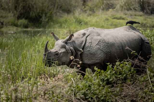 Jak wybrać apartament – kluczowe kryteria i realne opinie