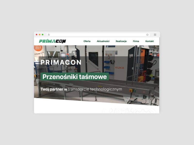 Linia transportowa do sortowania paczek – wybór